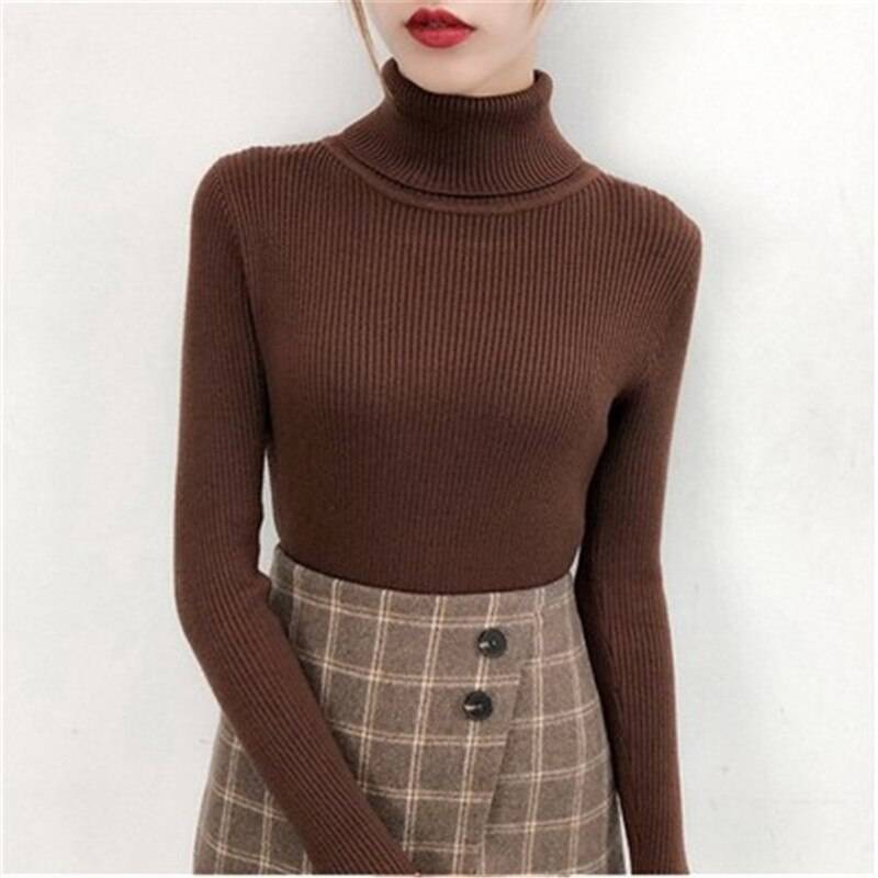 Slim Fit Women Turtleneck Knitted Sweater