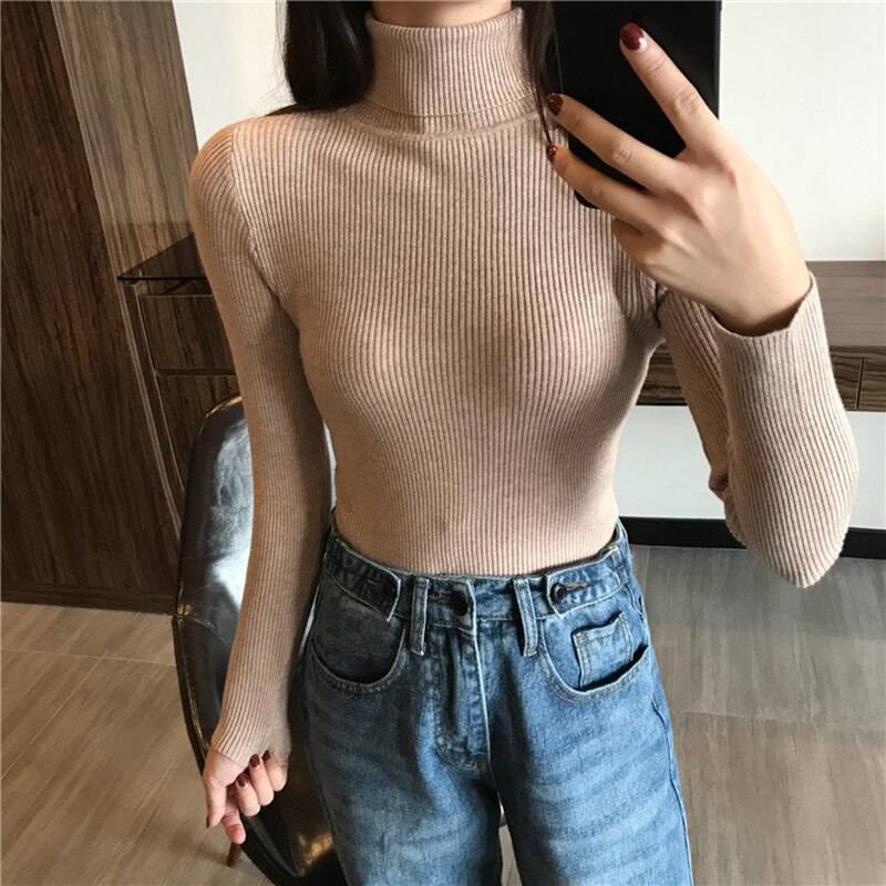 Slim Fit Women Turtleneck Knitted Sweater