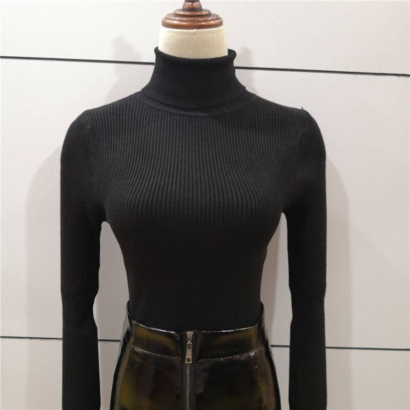 Slim Fit Women Turtleneck Knitted Sweater