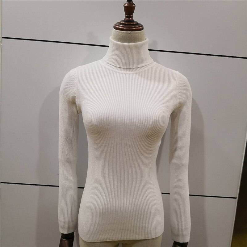 Slim Fit Women Turtleneck Knitted Sweater