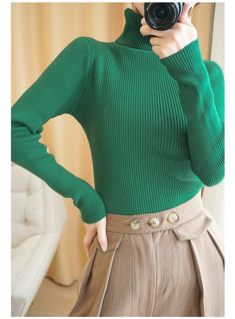 Slim Fit Women Turtleneck Knitted Sweater
