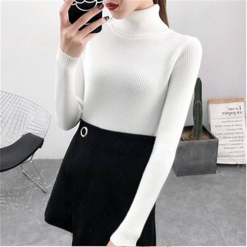 Slim Fit Women Turtleneck Knitted Sweater