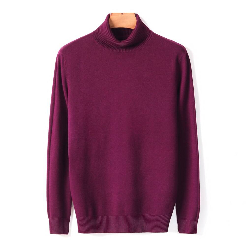 Autumn Winter Men's Turtleneck Sweater Pullover
