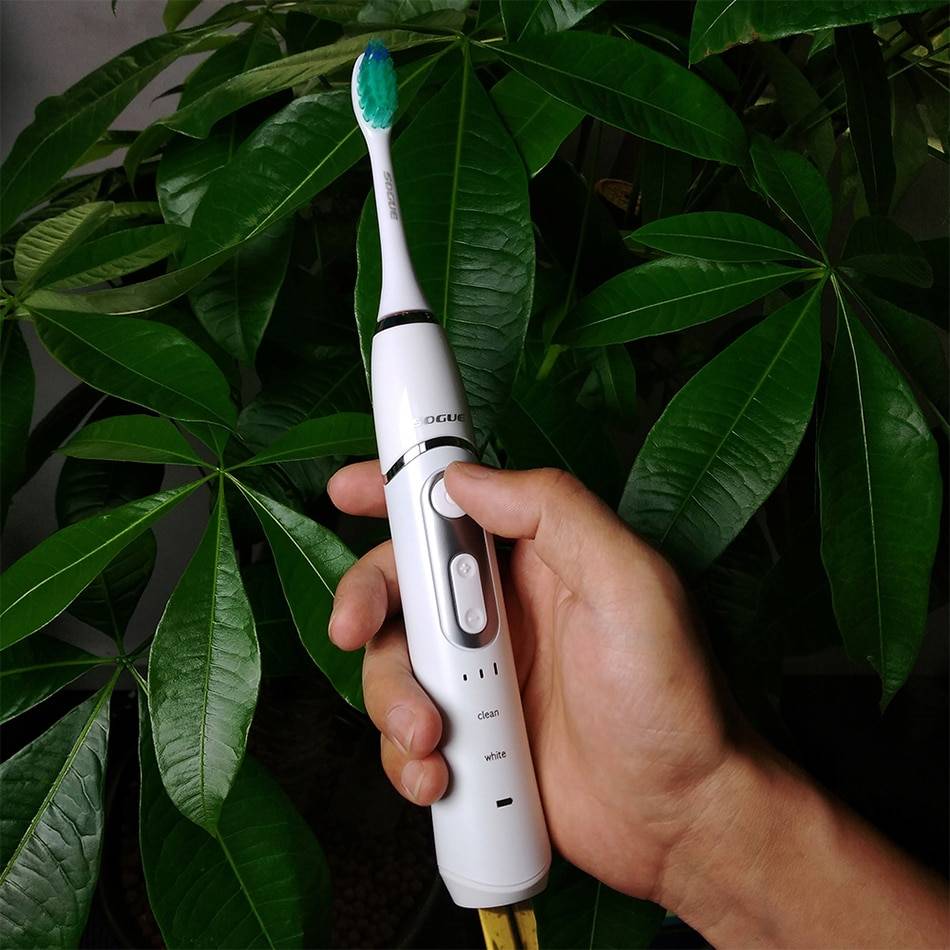 USB Charge 3 Speeds Electric Toothbrush Health Accessories Health and Beauty Home Accessories and Essentials Color : White|Black USB Charge 3 Speeds Electric Toothbrush Health Accessories Health and Beauty Home Accessories and Essentials