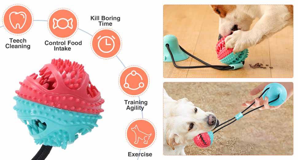 e1bc21b7-c5ba-44be-94f1-273aaf763ff2.__CR0,0,970,600_PT0_SX970_V1___